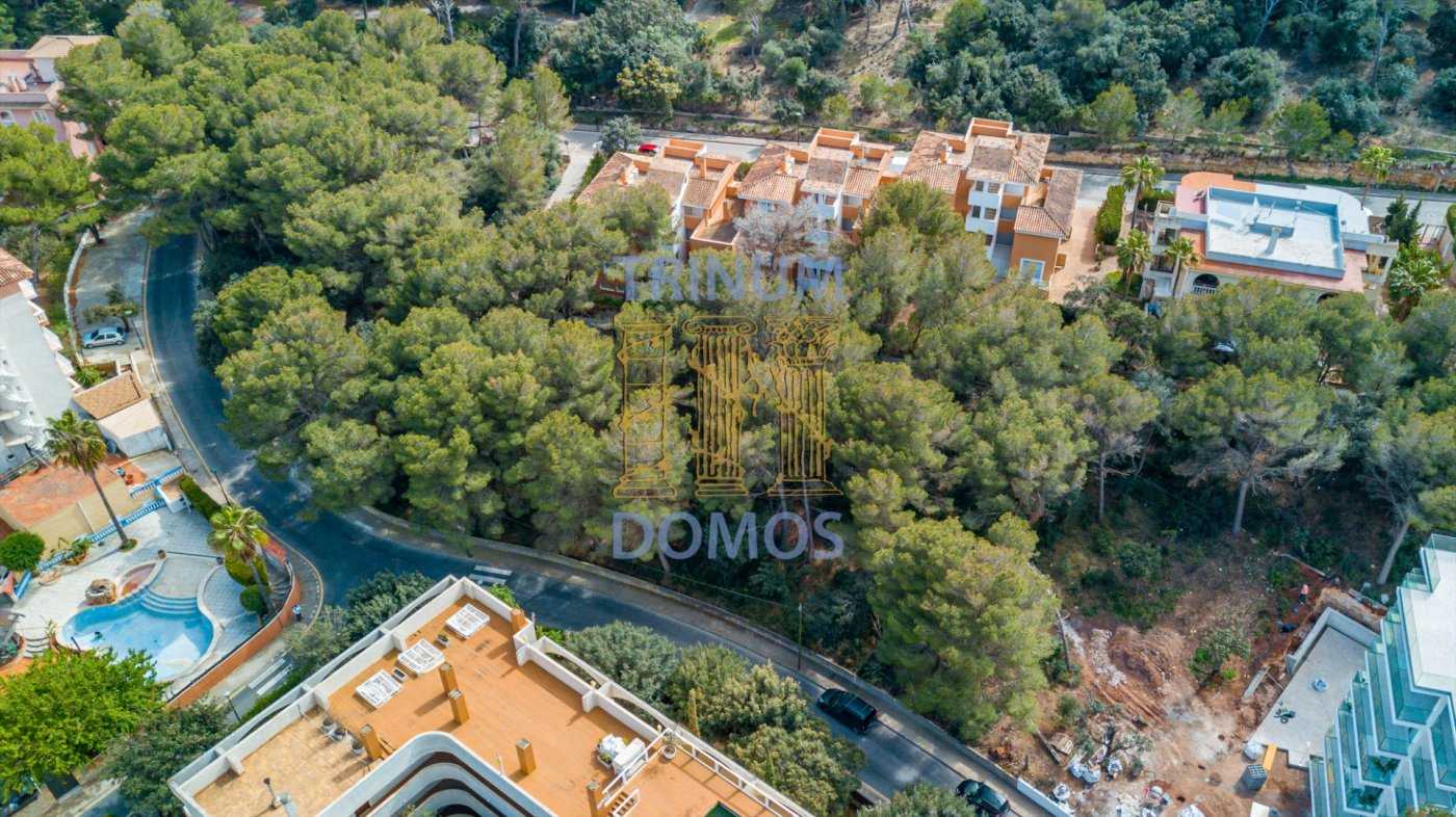Land in Capdepera, Illes Balears 11298174