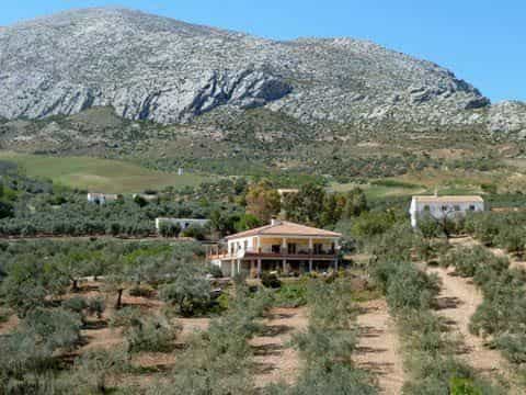 Casa nel Carratraca, Andalusia 11300047