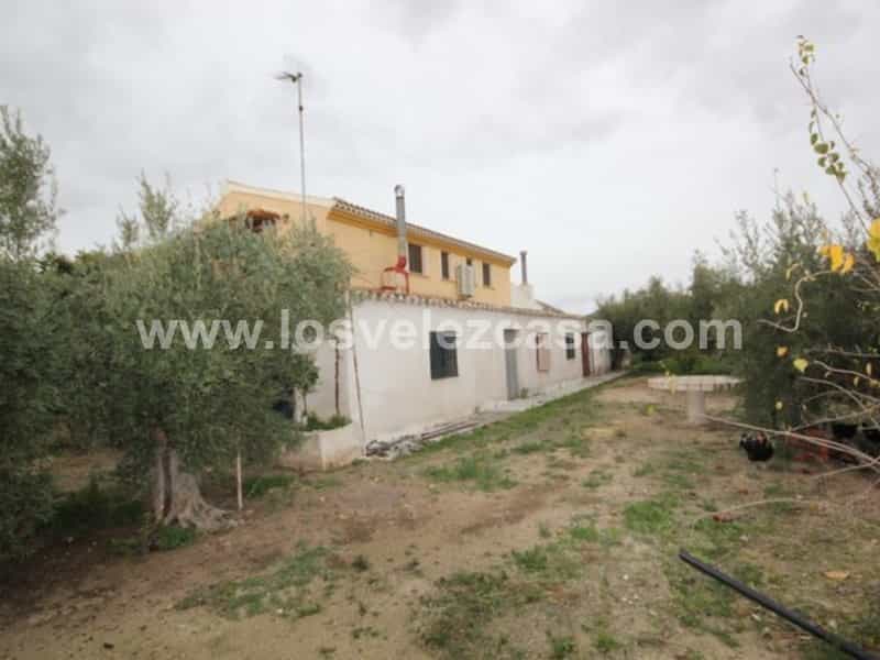 Hus i Velez Blanco, Andalusien 11300192