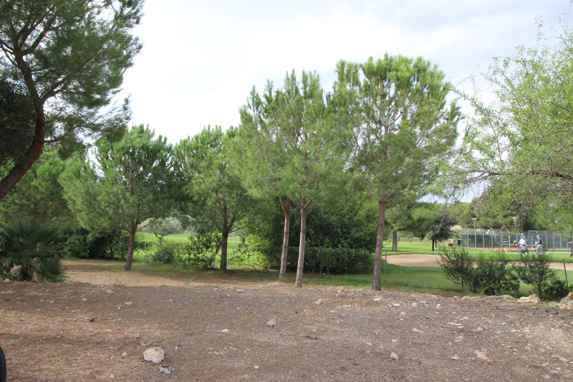 Land in Borriana, Comunidad Valenciana 11303434