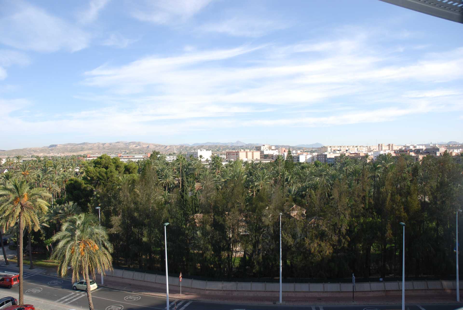 Condominium dans Elx, Comunidad Valenciana 11303988