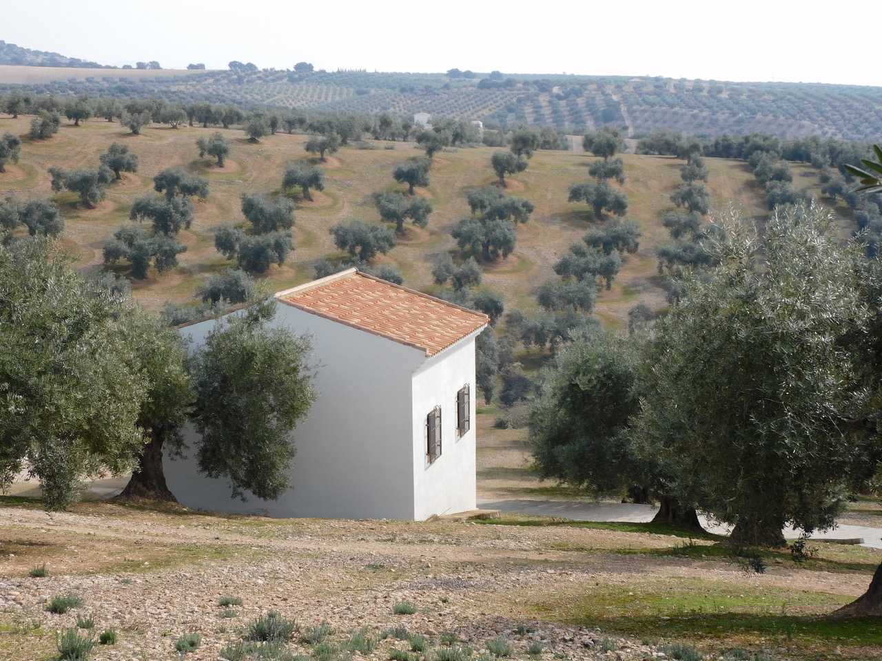 жилой дом в Íllora, Andalucía 11304194