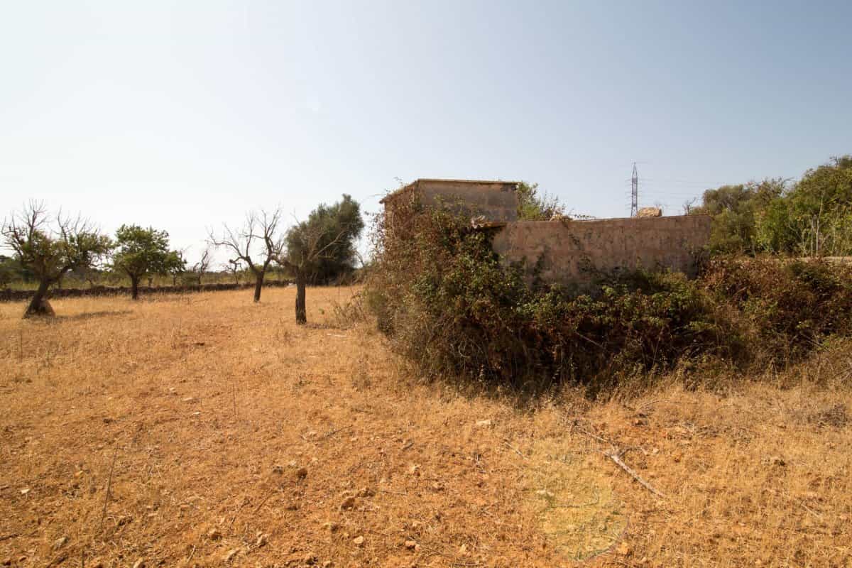 Tanah dalam San Lorenzo de Descardazar, Kepulauan Balearic 11314131