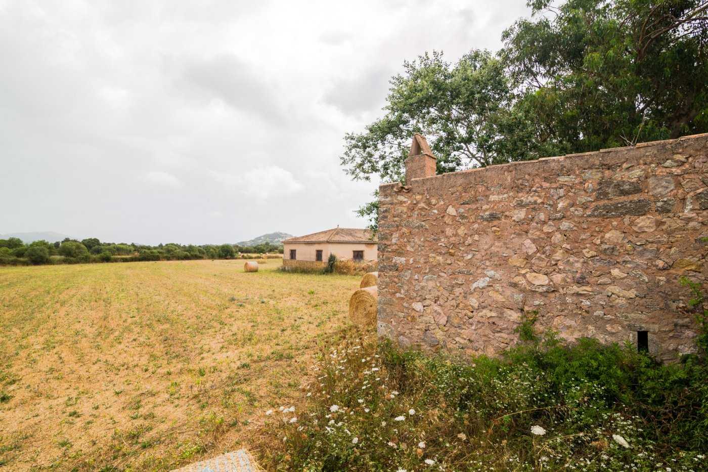 Tanah di Capdepera, Illes Balears 11315164