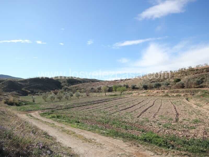 Tanah dalam , Región de Murcia 11317323