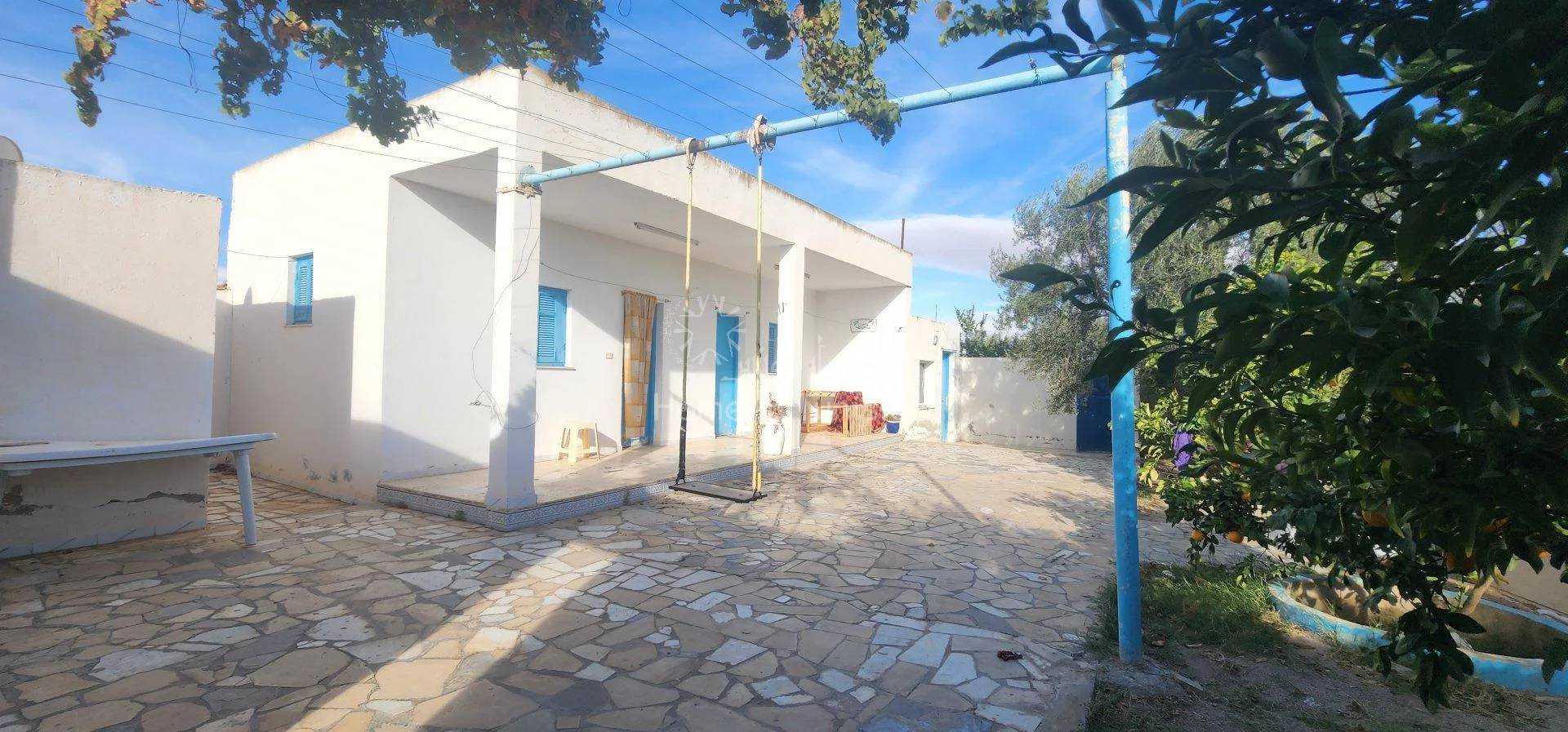 Hus i Dar ech Chaouch Abd Alla, Sousse 11317678