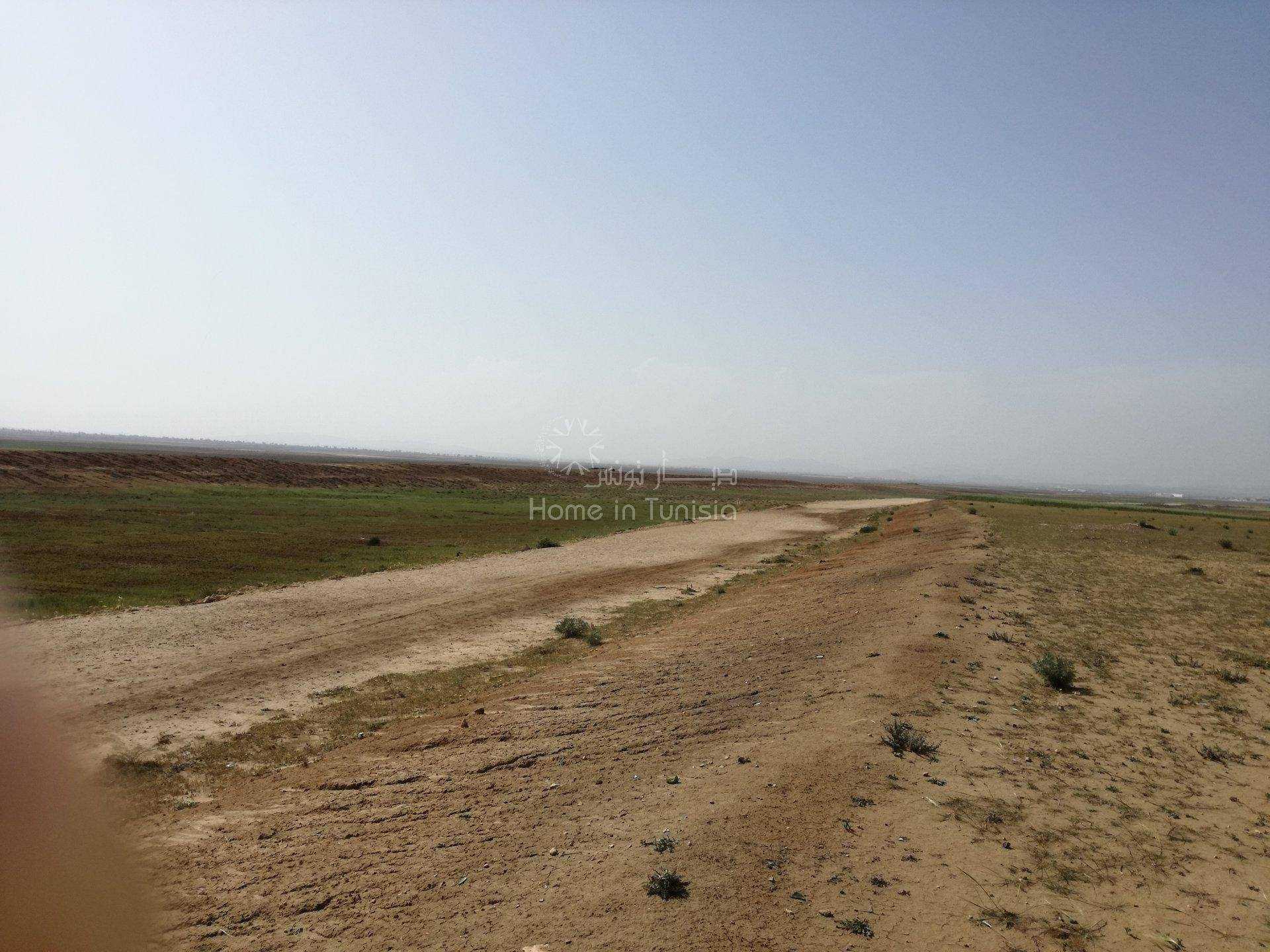Tanah dalam Harqalah, Sousse 11318033