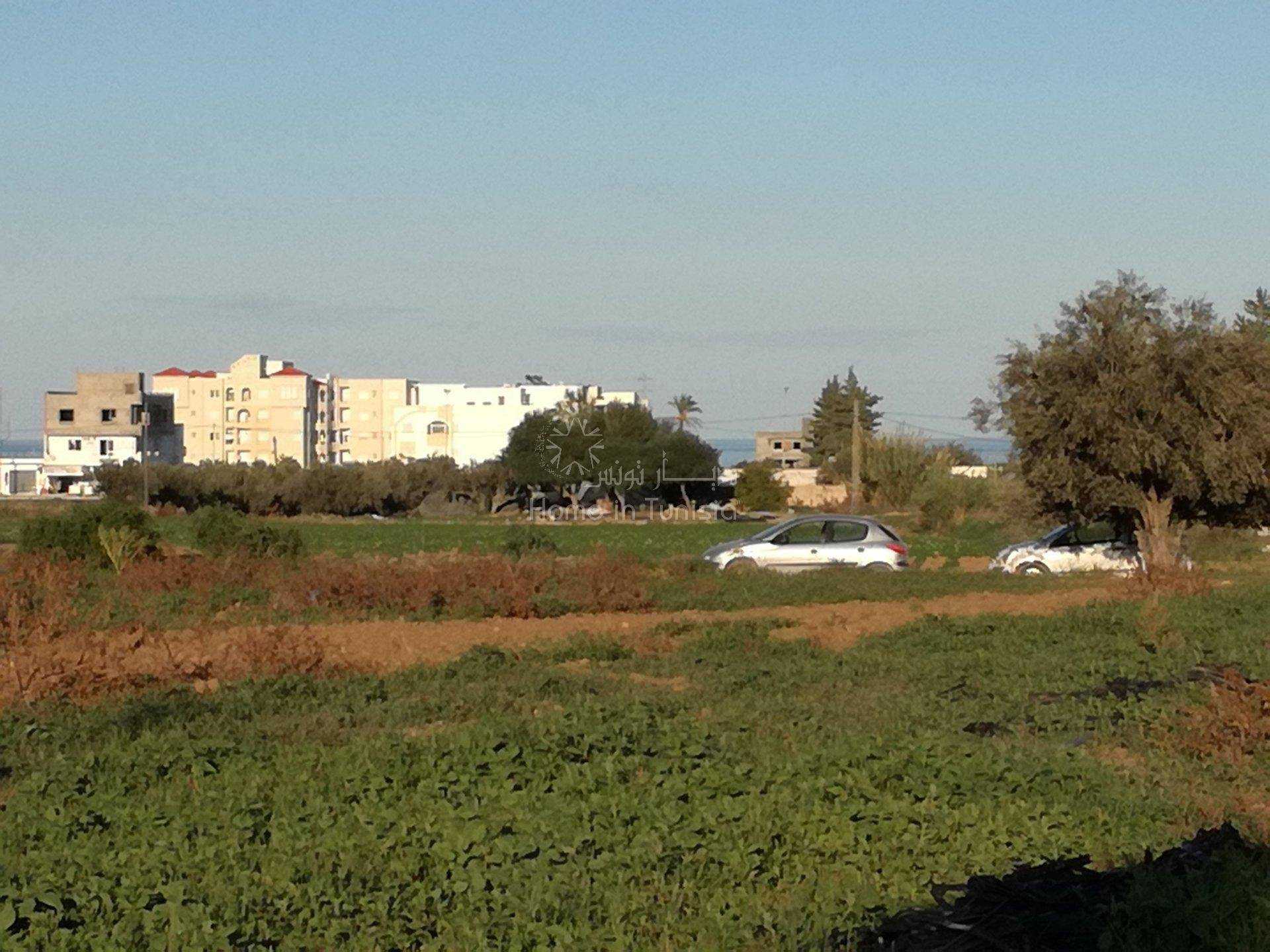Tanah dalam , Gouvernorat de Sousse 11318085