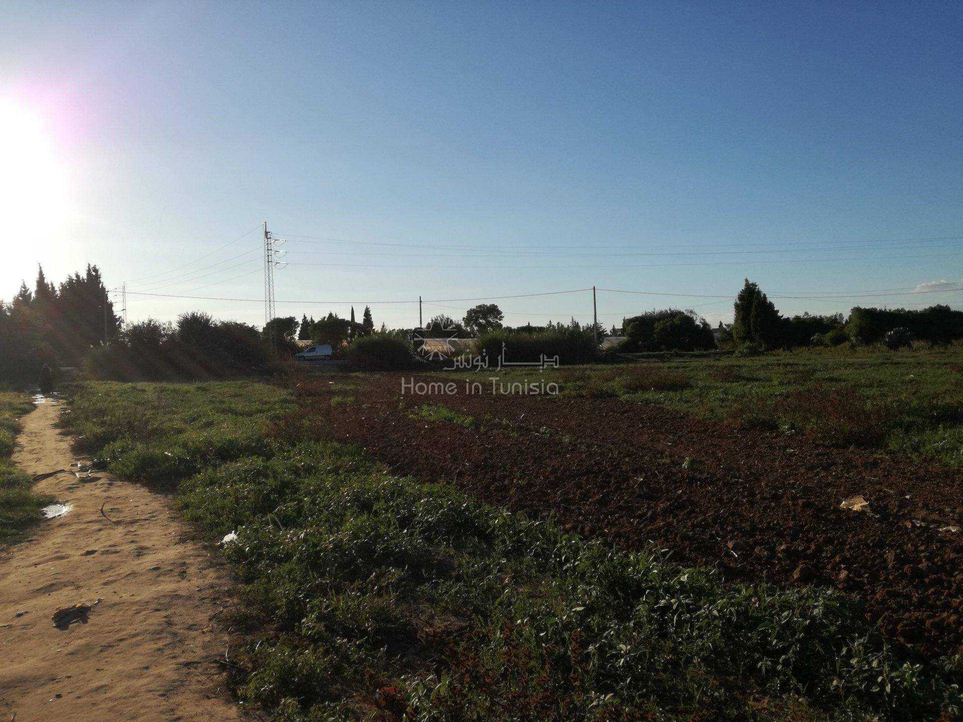 Tanah dalam , Gouvernorat de Sousse 11318085