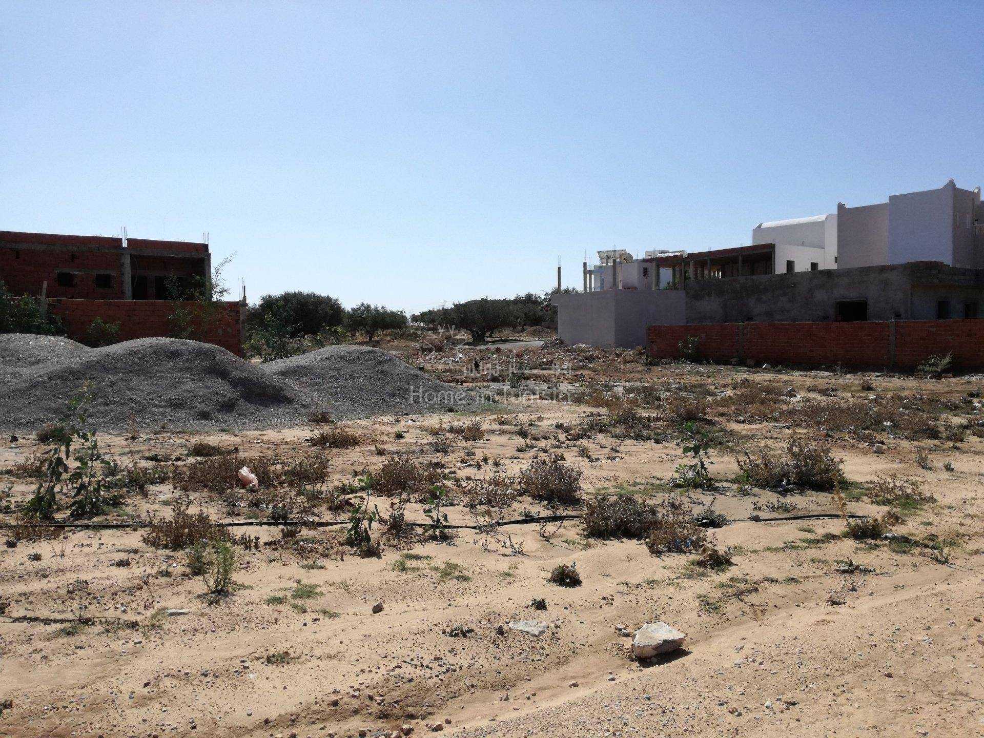 Terre dans Sidi Bou Ali, Gouvernorat de Sousse 11319000
