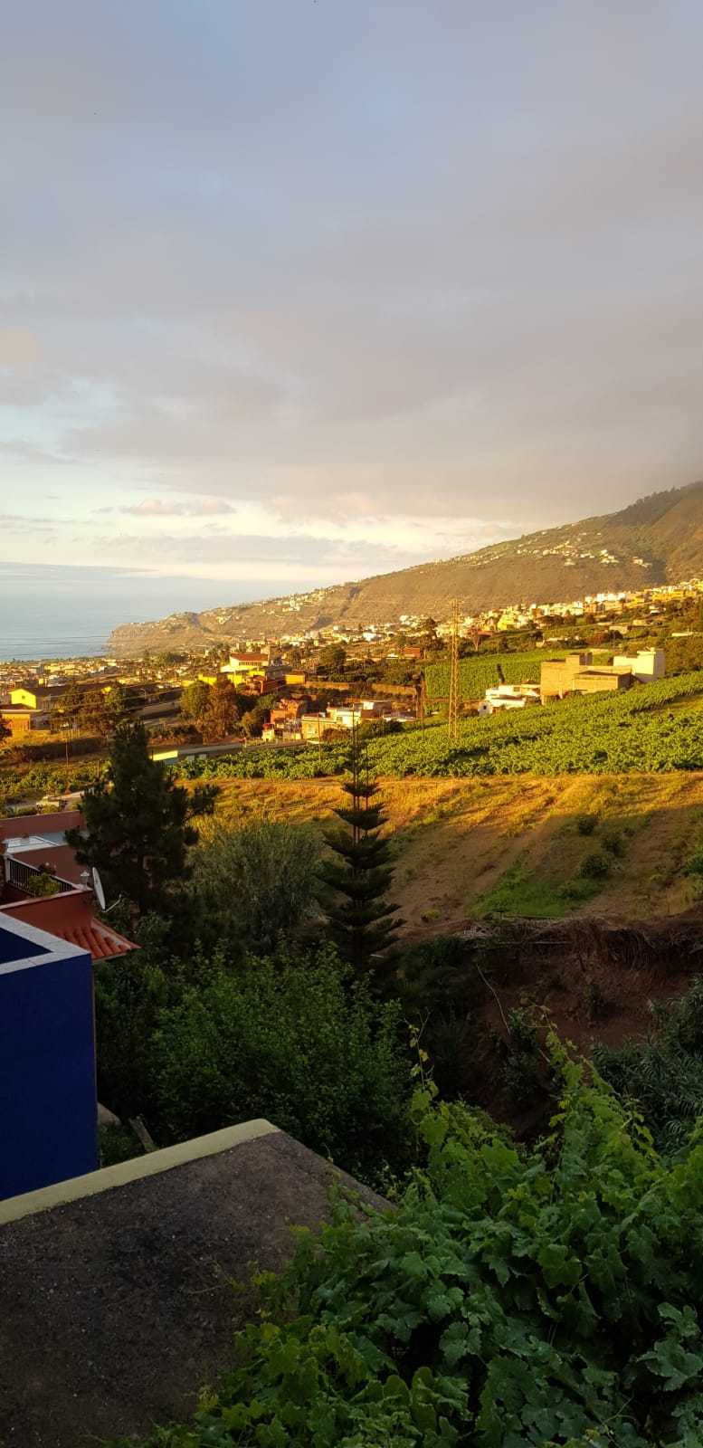 Hus i La Orotava, Canarias 11323180