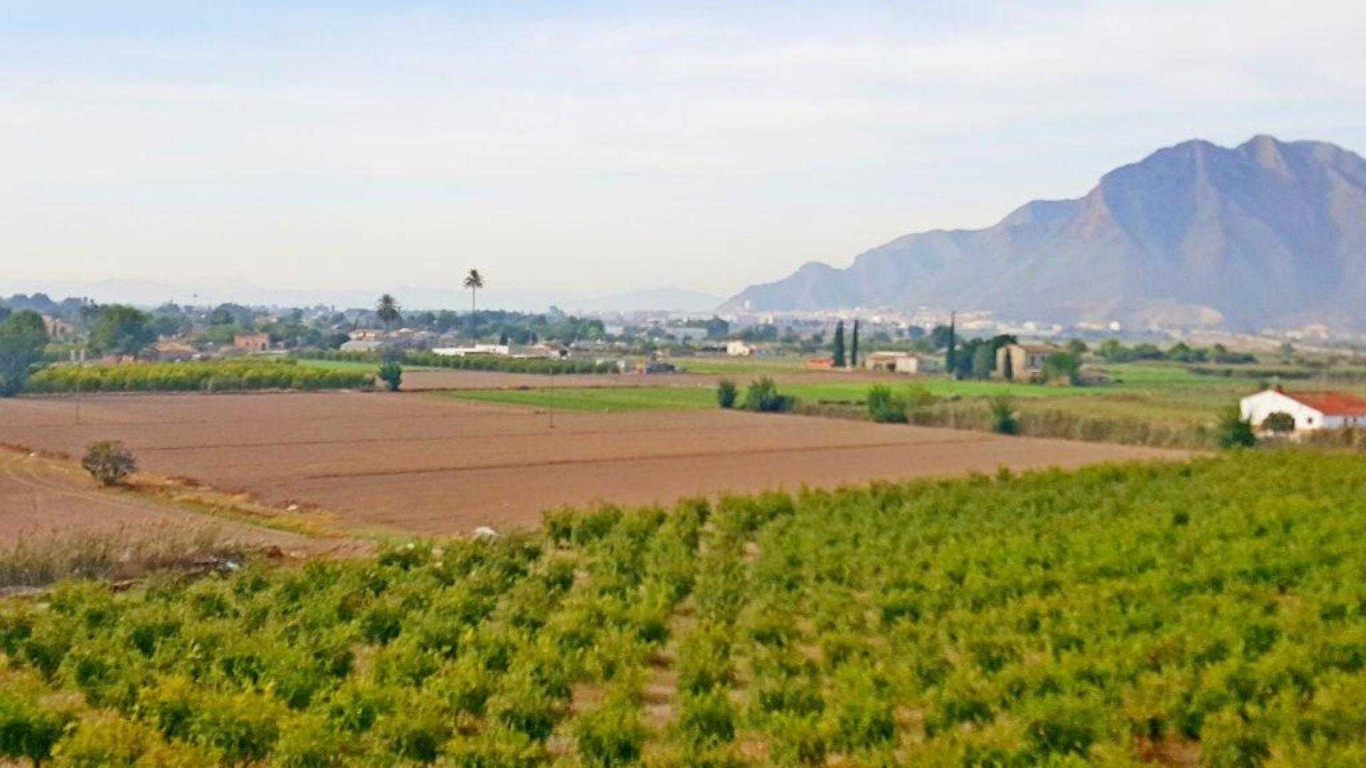 Land in Callosa de Segura, Comunidad Valenciana 11323856