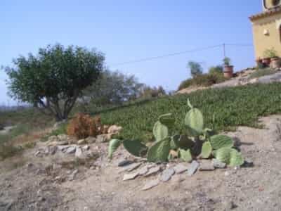 House in Antas, Andalusia 11328676