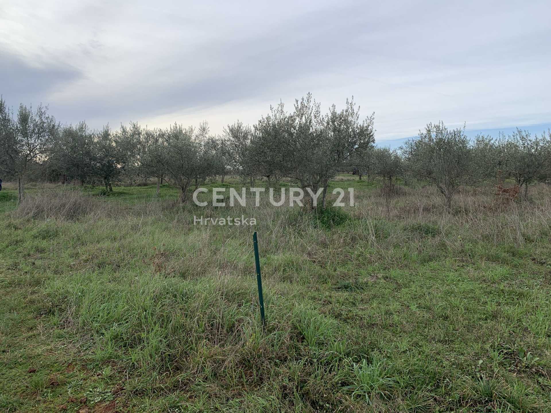 Land in Umag, Istria County 11329031