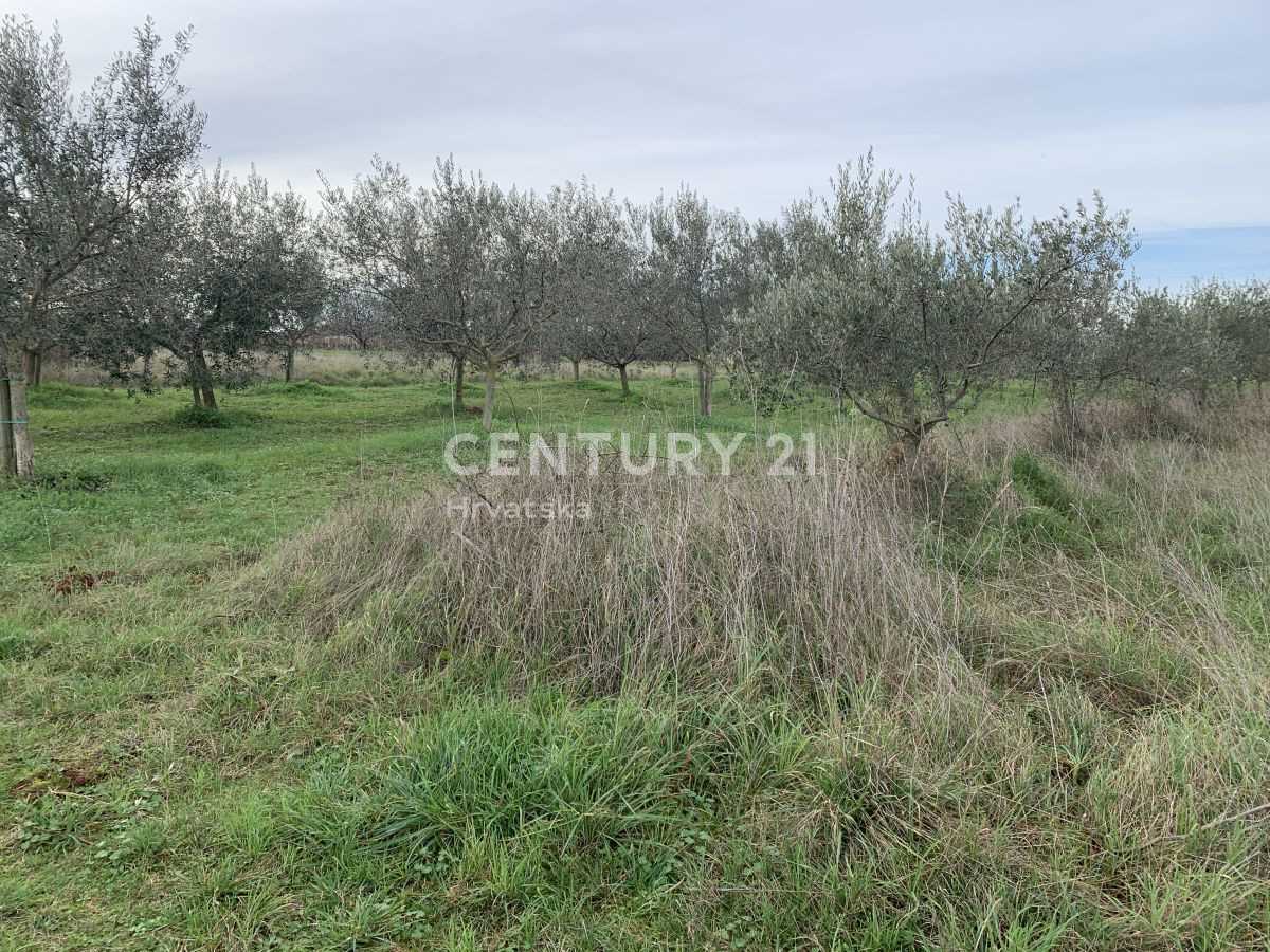 Land in Umag, Istria County 11329031