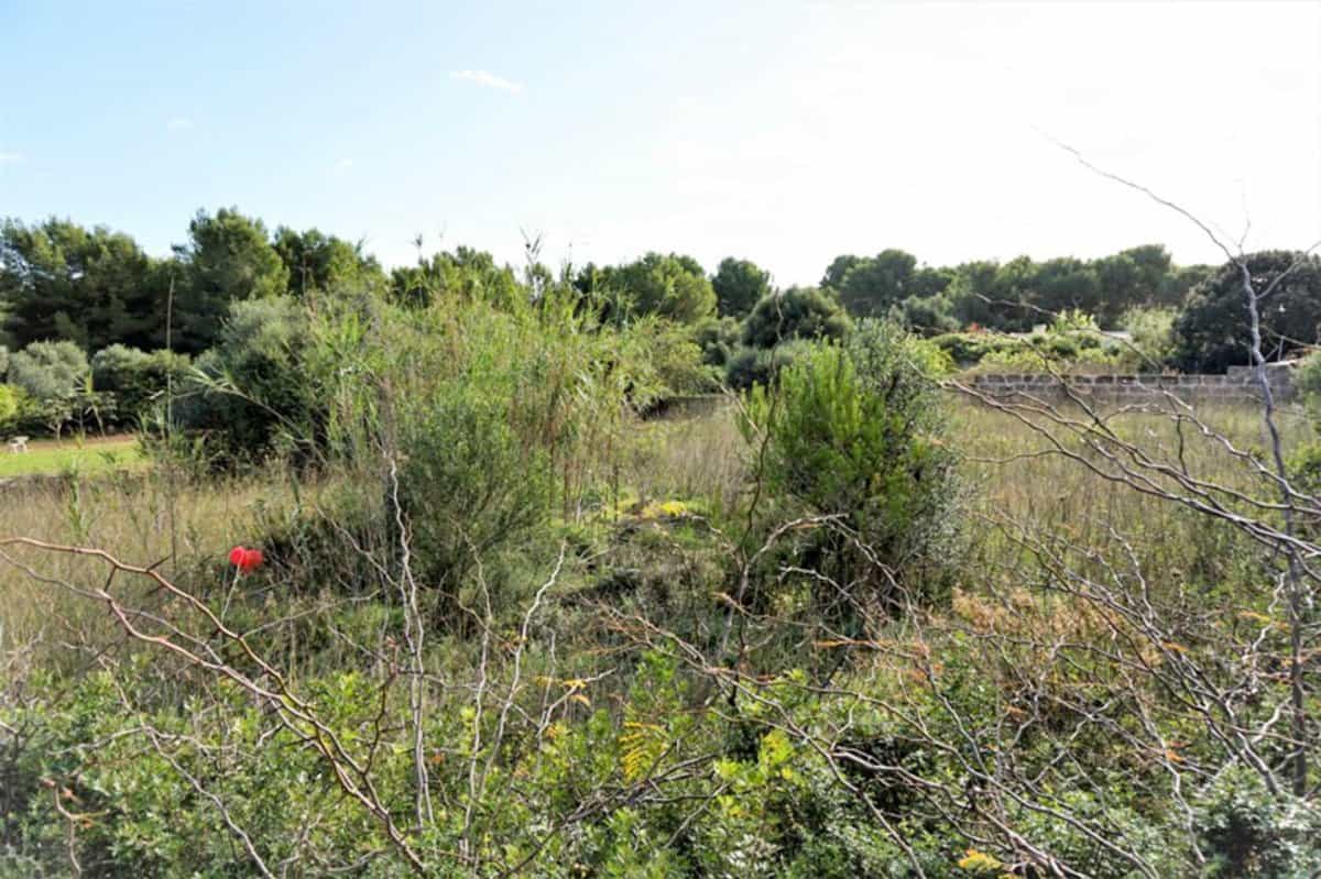 Land in Capdepera, Illes Balears 11330708