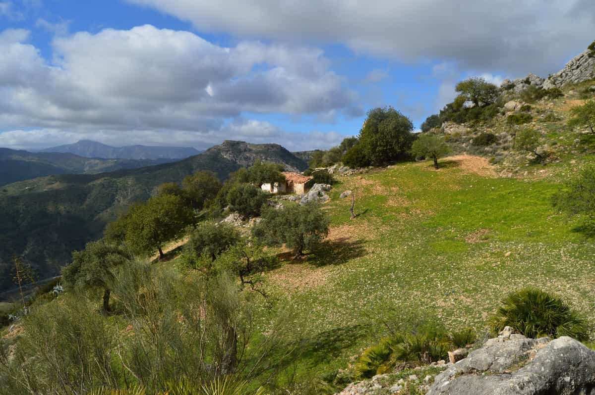 Tanah dalam El Chorro, Andalusia 11335191