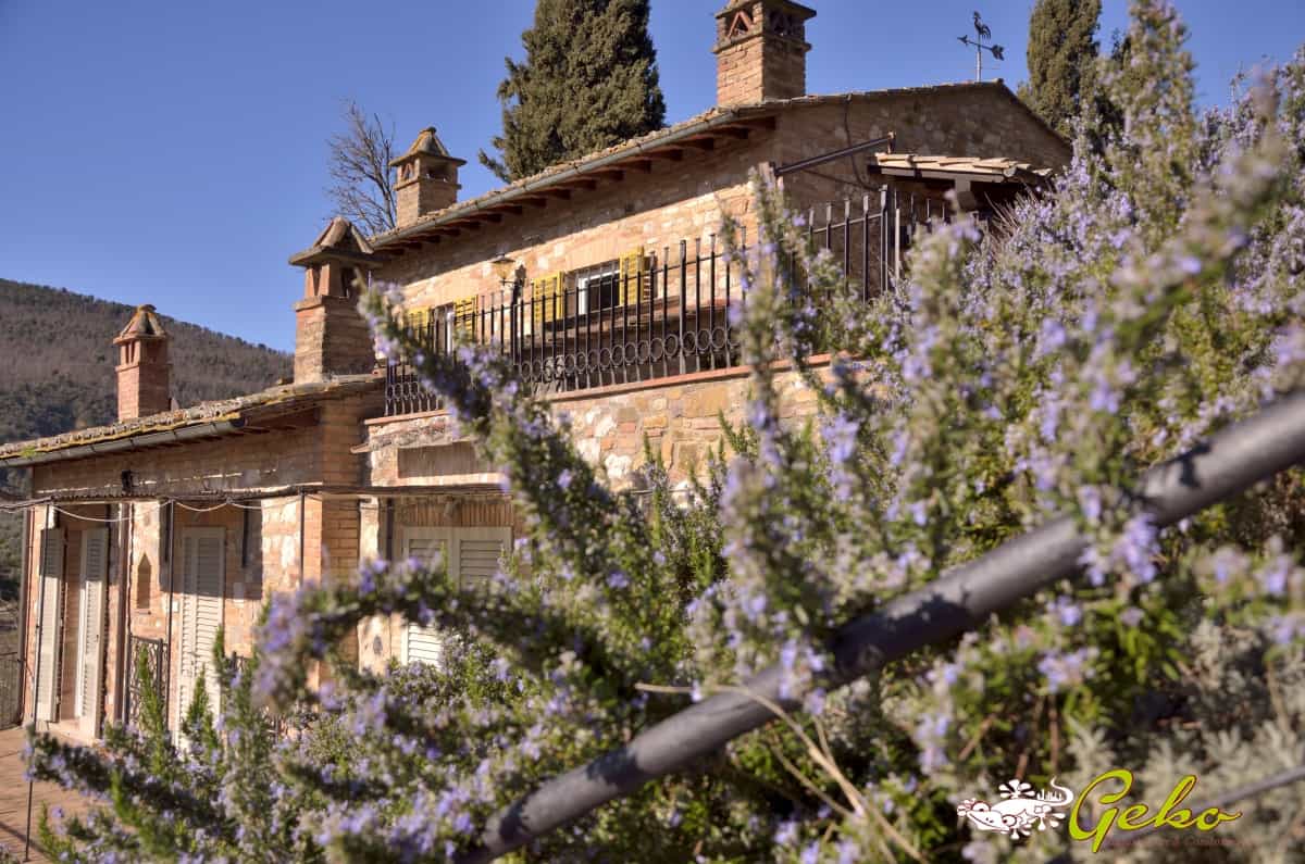 rumah dalam San Gimignano, Tuscany 11336364