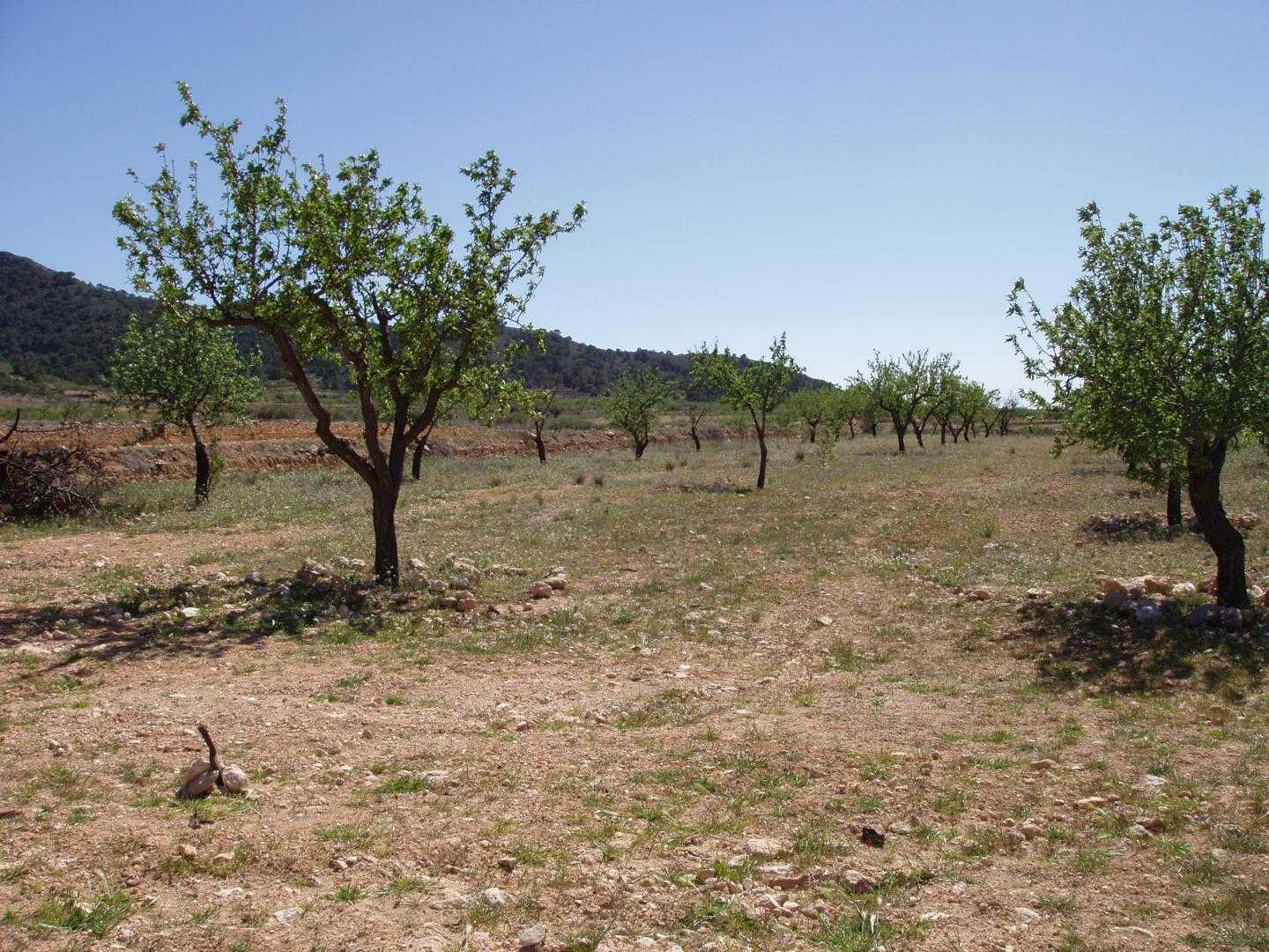 Ejerlejlighed i Cañada de la Leña, Región de Murcia 11339276