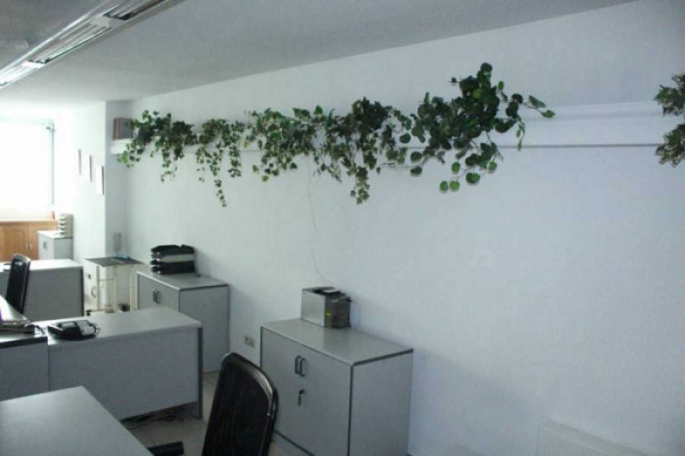 Office in Marbella, Andalusia 11339371