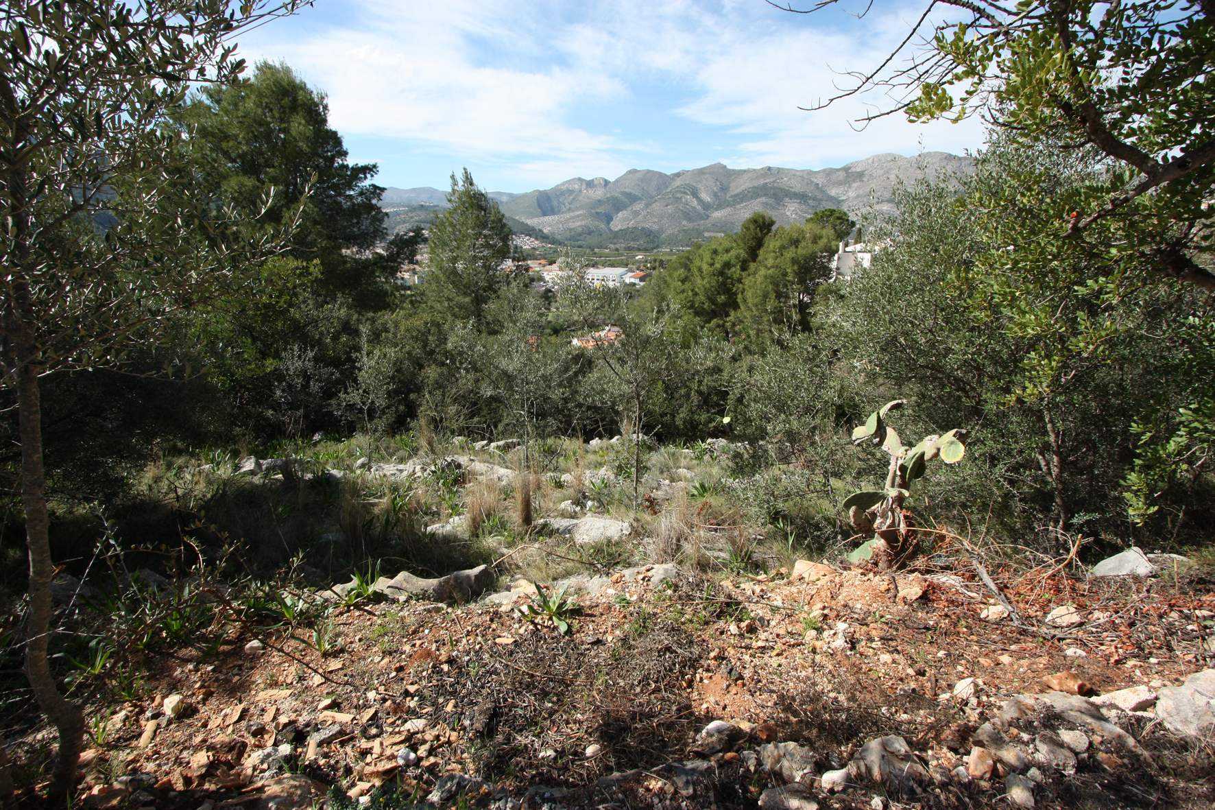 Terre dans Orba, Comunitat Valenciana 11342498