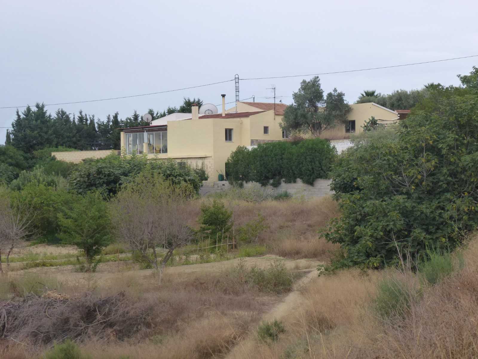 房子 在 Aspe, Valencian Community 11342530