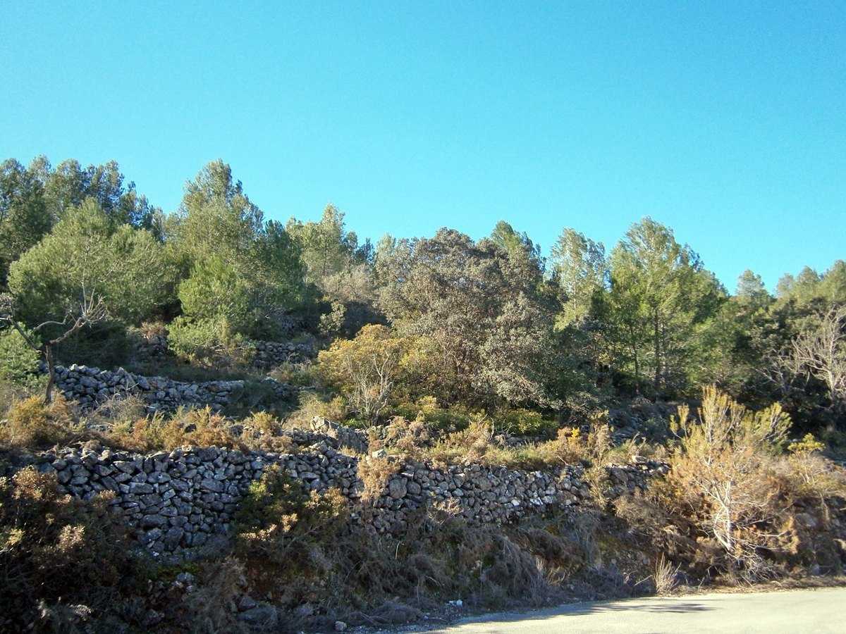 土地 在 Llíber, Comunidad Valenciana 11342824