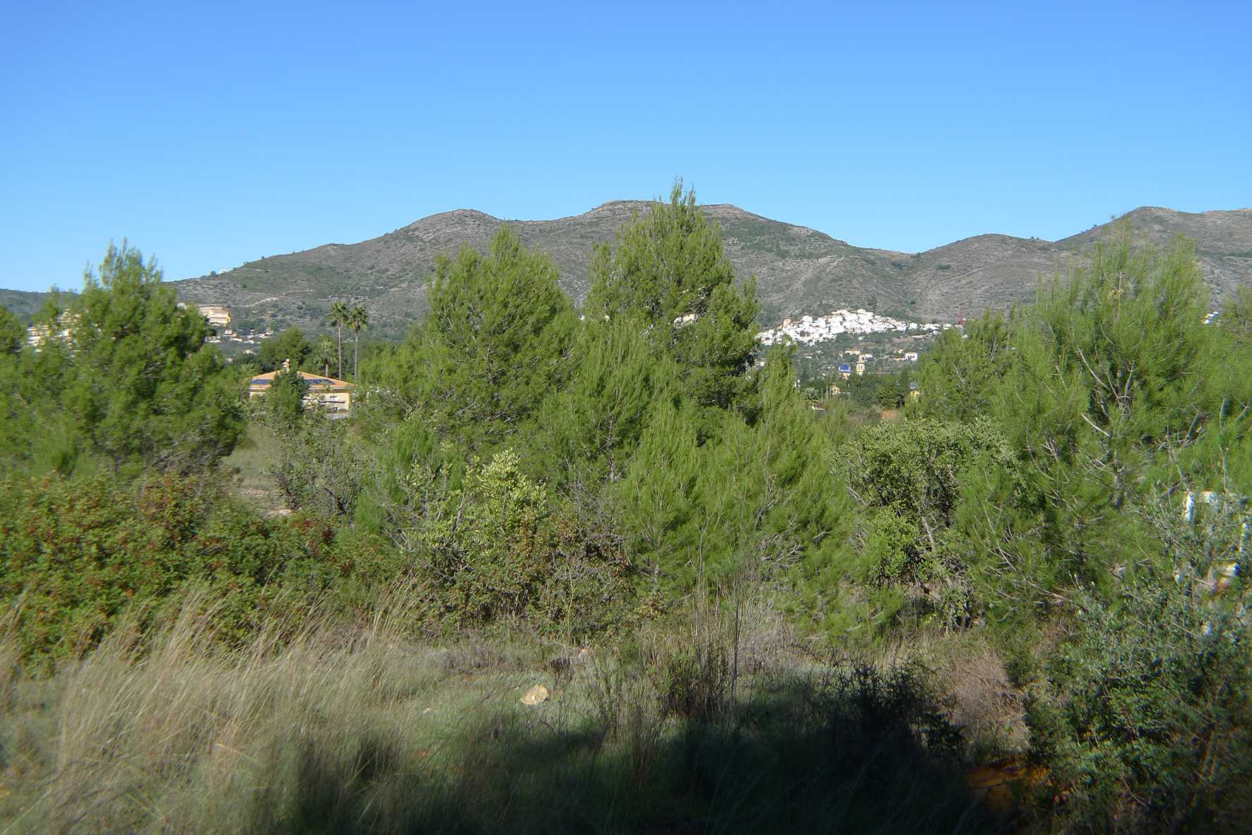 भूमि में Alicante, वालेंसिया 11343215