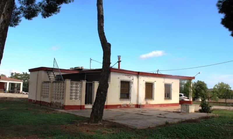 House in Aspe, Valencian Community 11343356