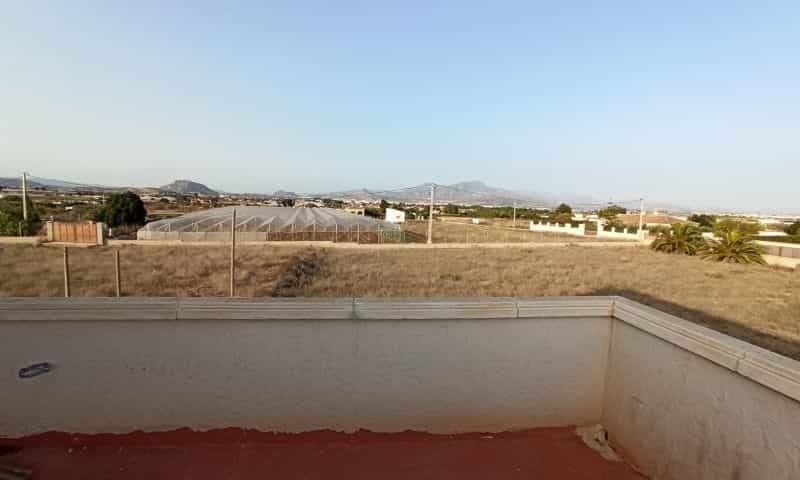 Hus i Aspe, Valencian Community 11343478
