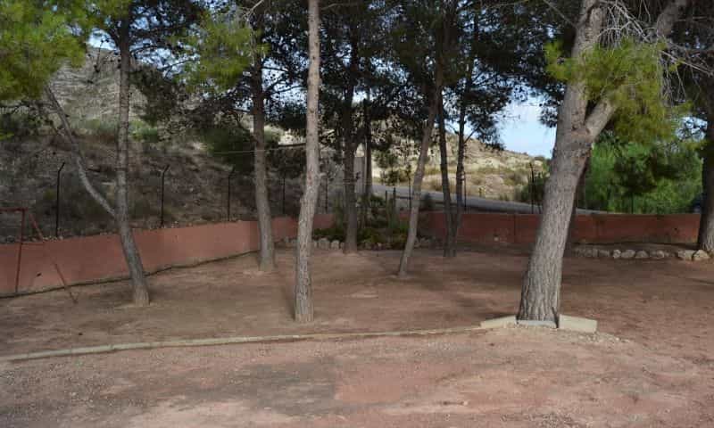 Hus i Aspe, Valencian Community 11343688