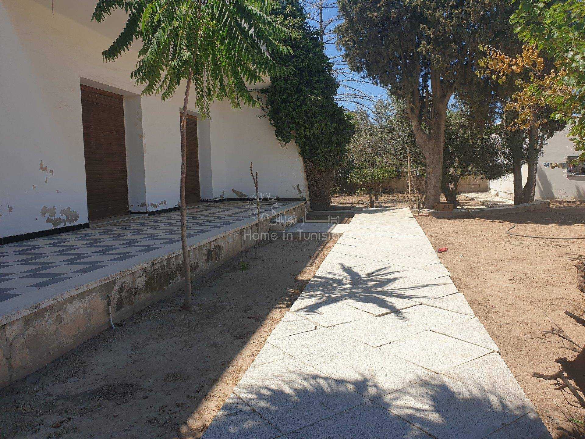 Tanah dalam Sousse, Sousse 11353236