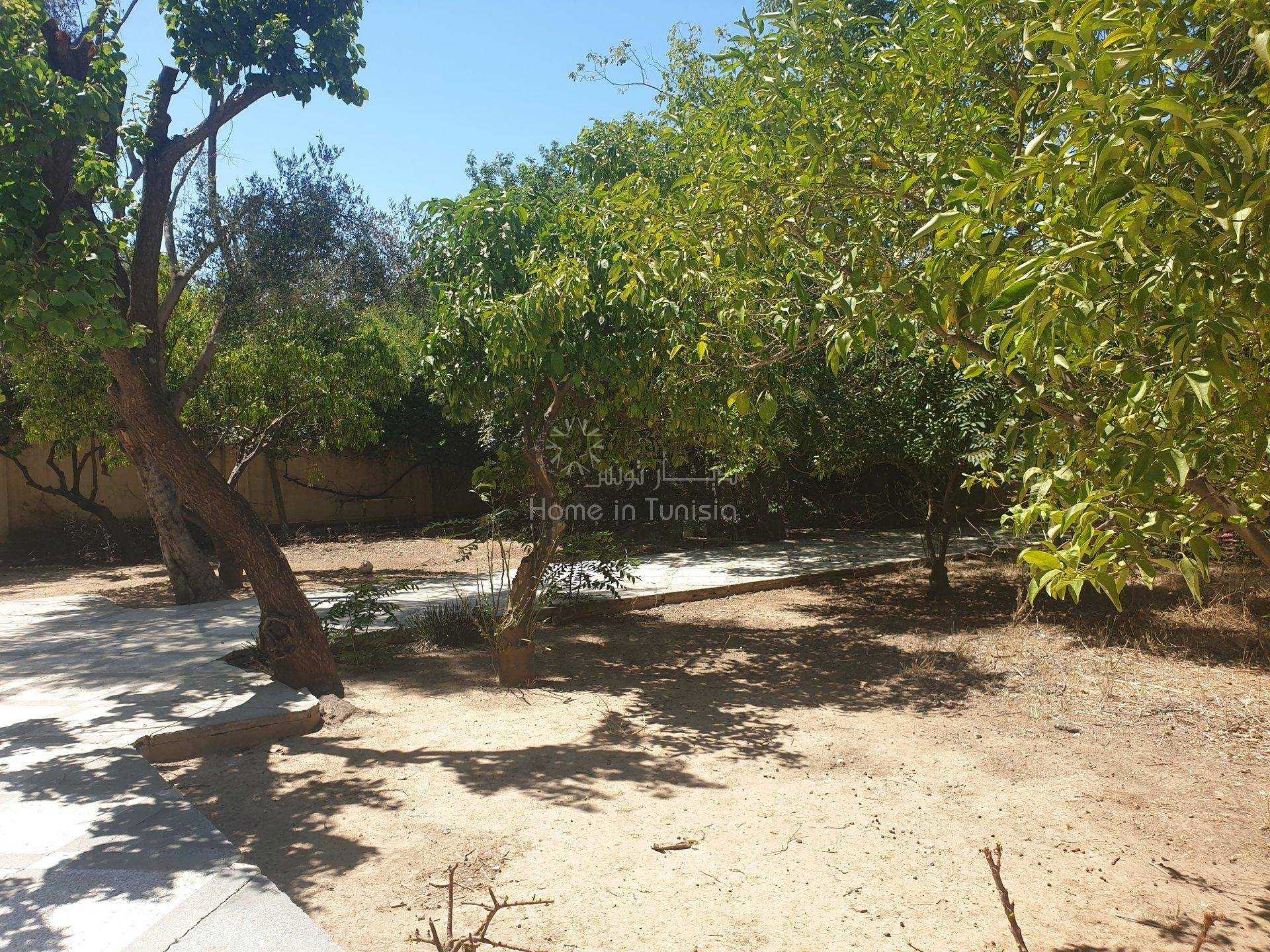 Land in Sousse, Sousse 11353236