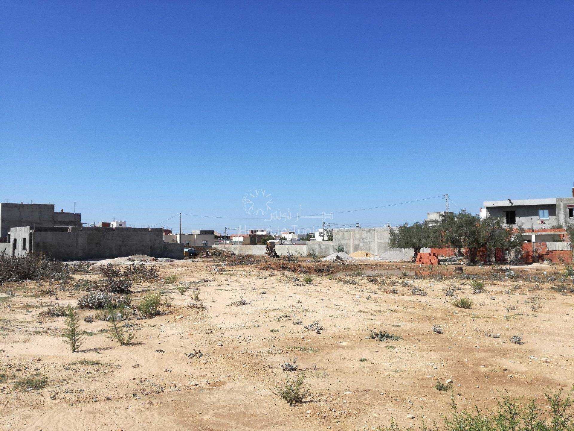 Land in Sidi Bou Ali, Gouvernorat de Sousse 11353806