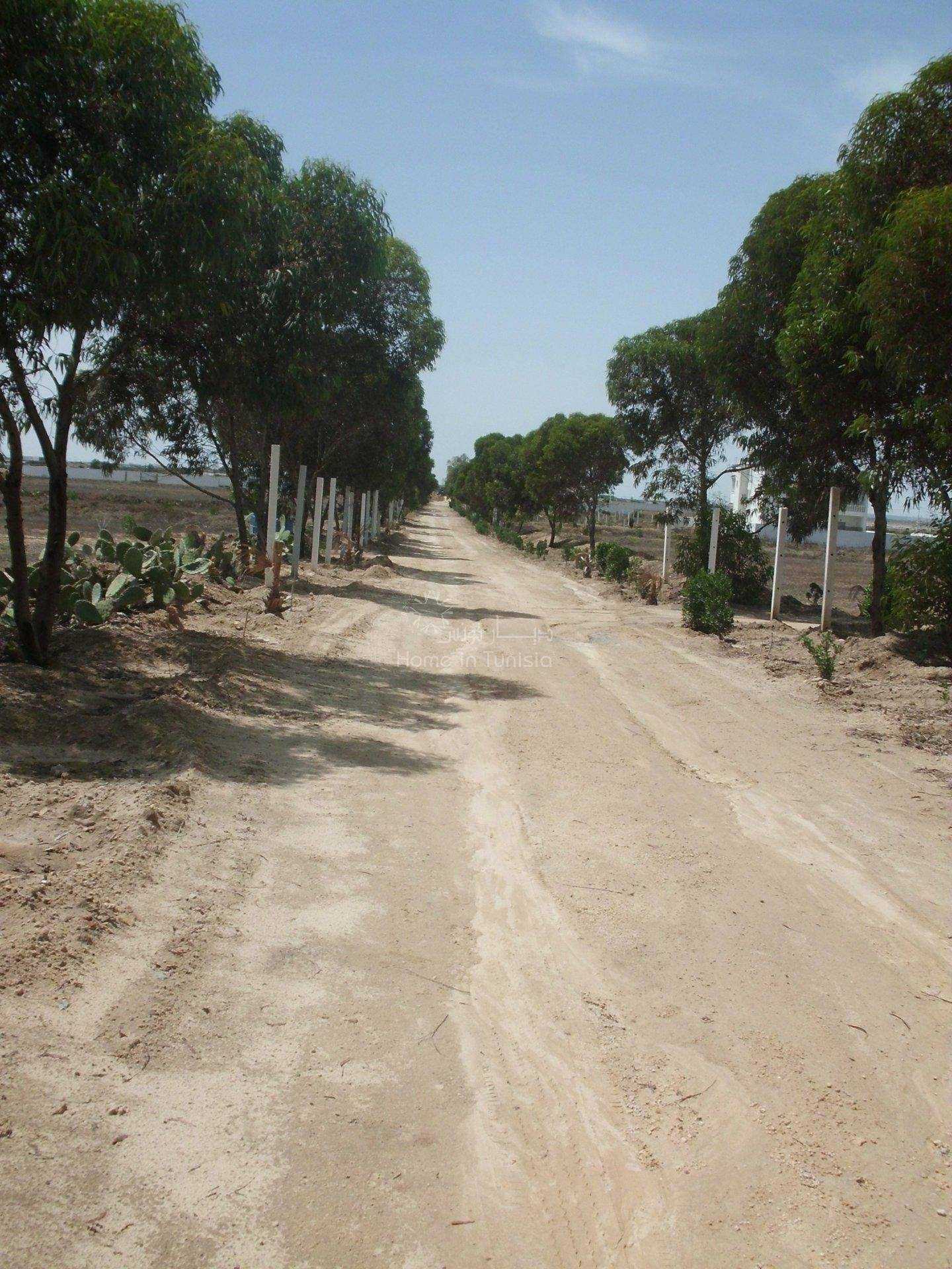 Tanah di Hergla, Sousse 11354003