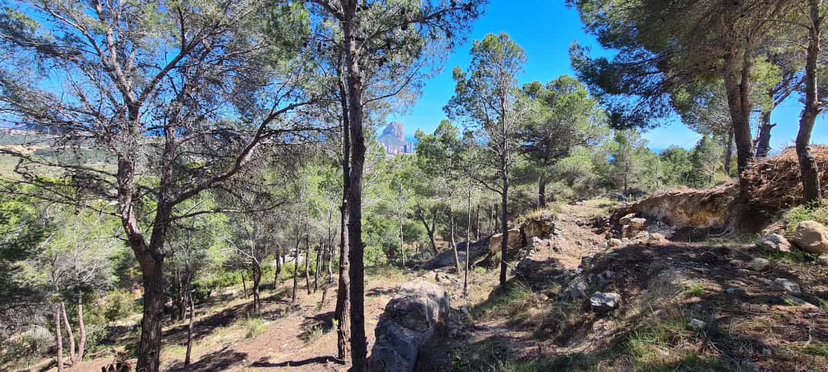 Γη σε Calpe, Comunidad Valenciana 11361569