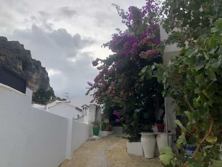 rumah dalam Algodonales, Andalusia 11365468
