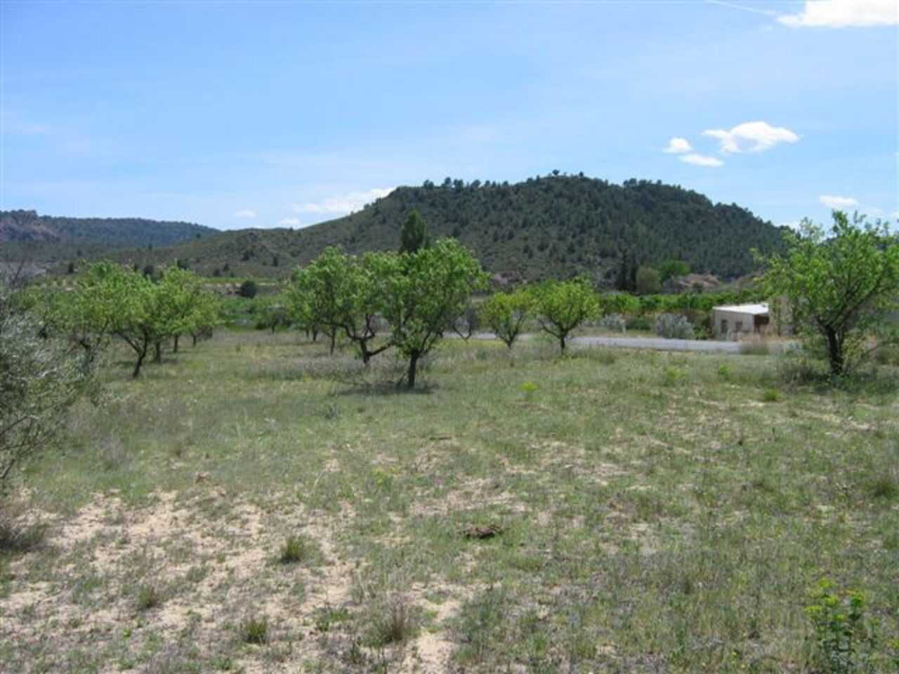 Land in Calasparra, Murcia 11367696