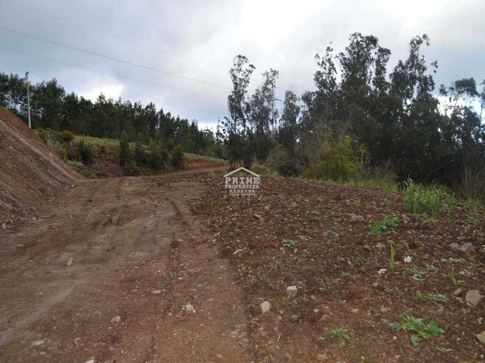 Land in Carmanchao, Madeira 11370318