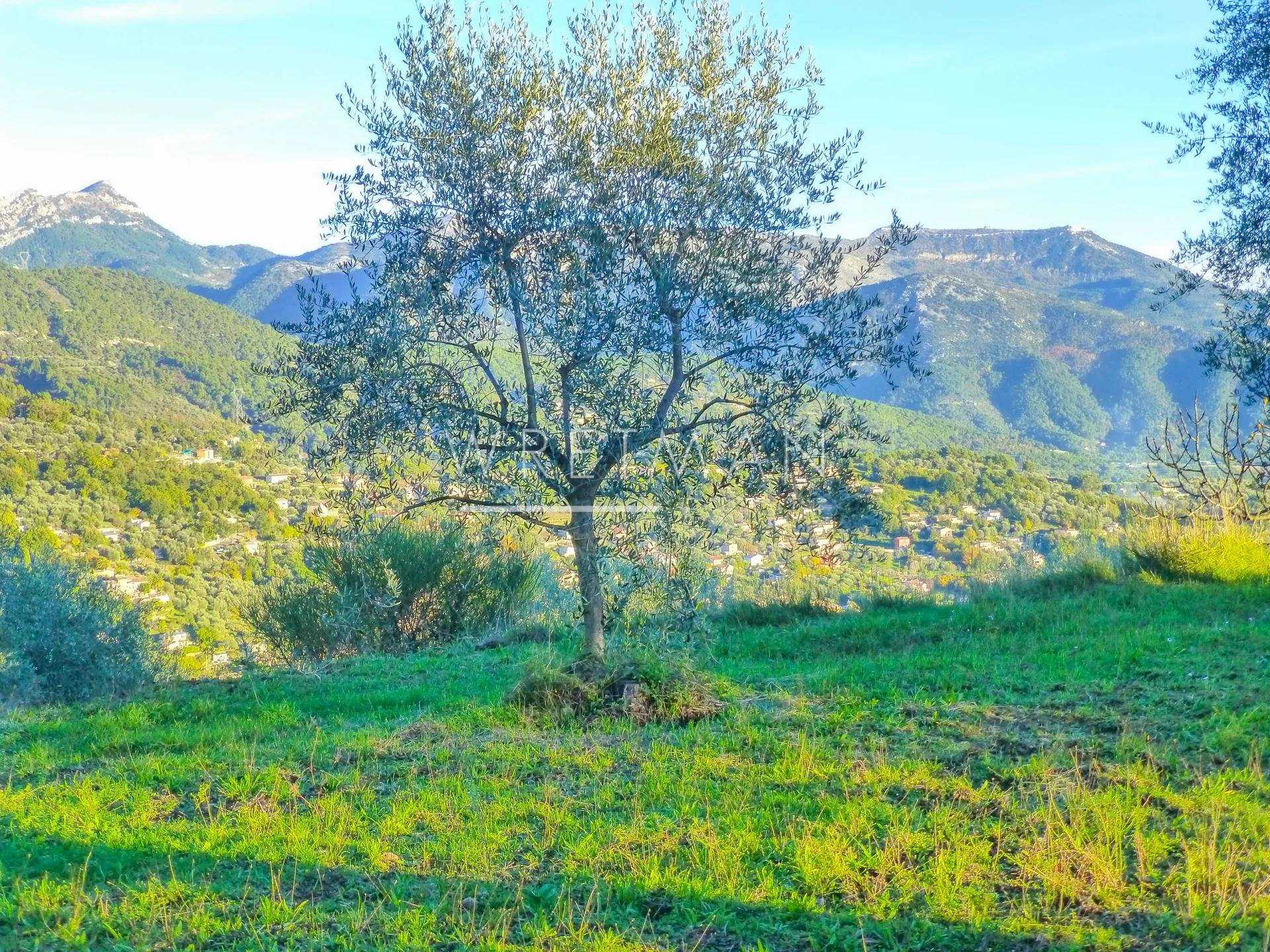Dom w Berre-les-Alpes, Provence-Alpes-Cote d'Azur 11371461