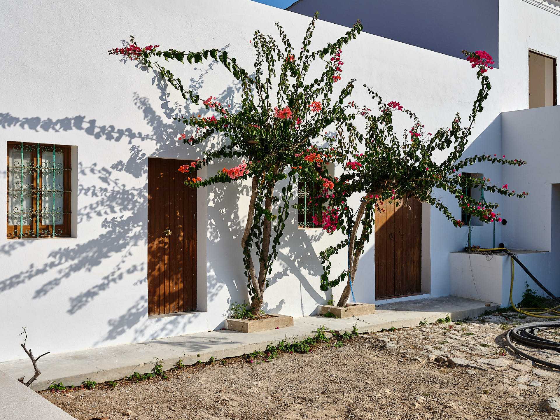 Haus im Portinatx, Balearic Islands 11378649