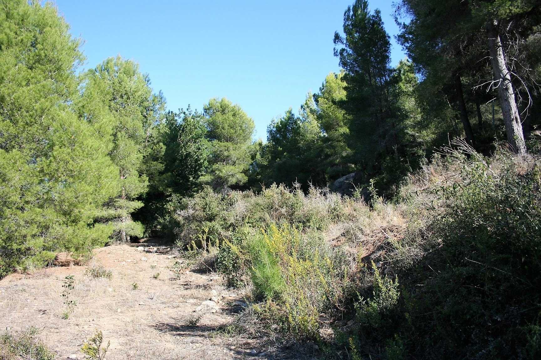 Земля в Ráfol de Almunia, Comunidad Valenciana 11380222