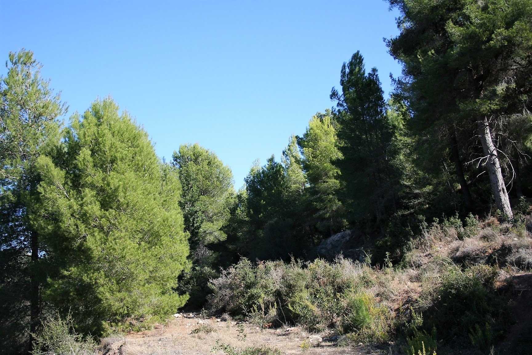 Land i Ráfol de Almunia, Comunidad Valenciana 11380222