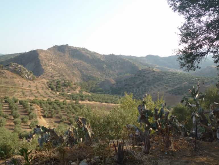 Tanah dalam Olvera, Andalusia 11389408