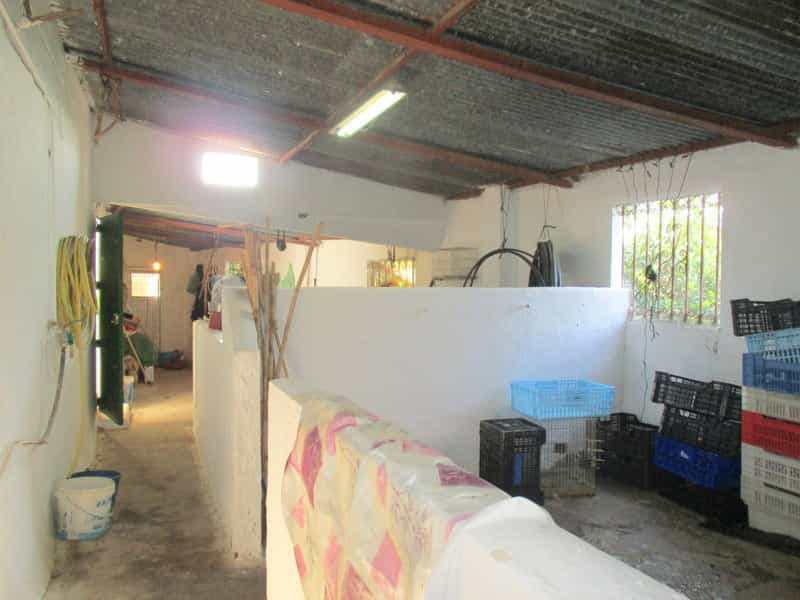Casa nel Pizarra, Andalusia 11390107