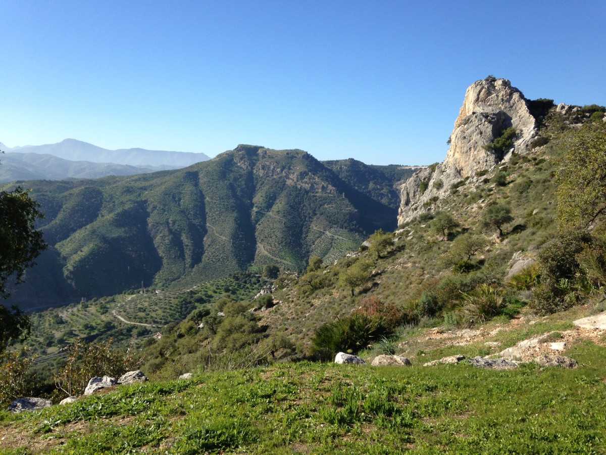 Land in El Chorro, Andalusia 11390164