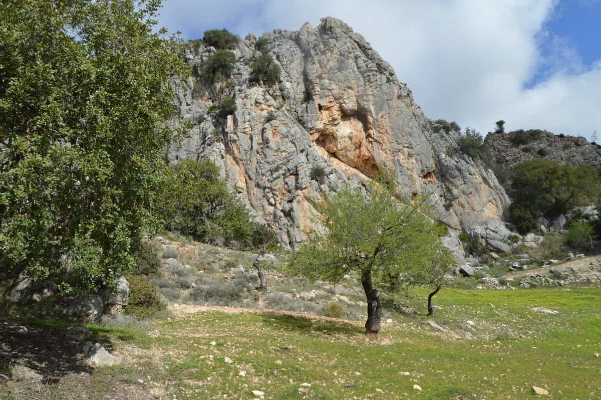Land in El Chorro, Andalusia 11390164