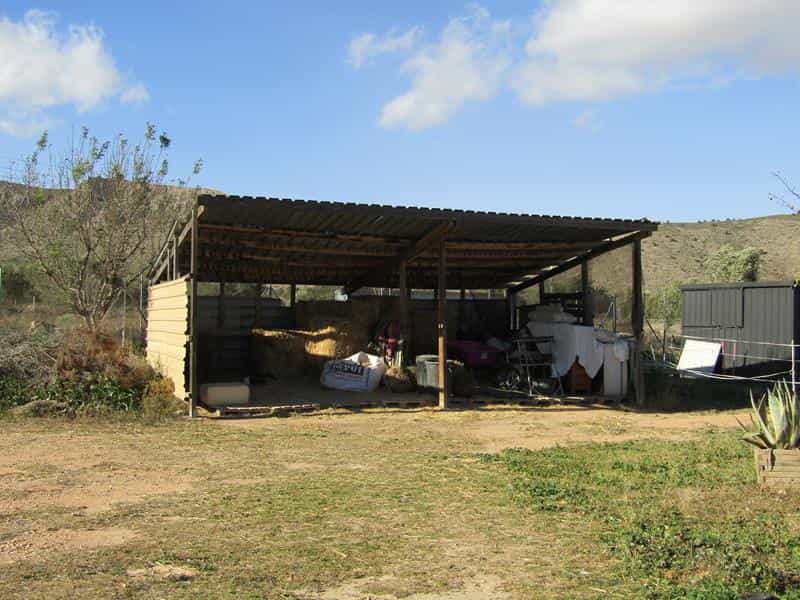 Будинок в El Fondó de les Neus, Valencian Community 11390714