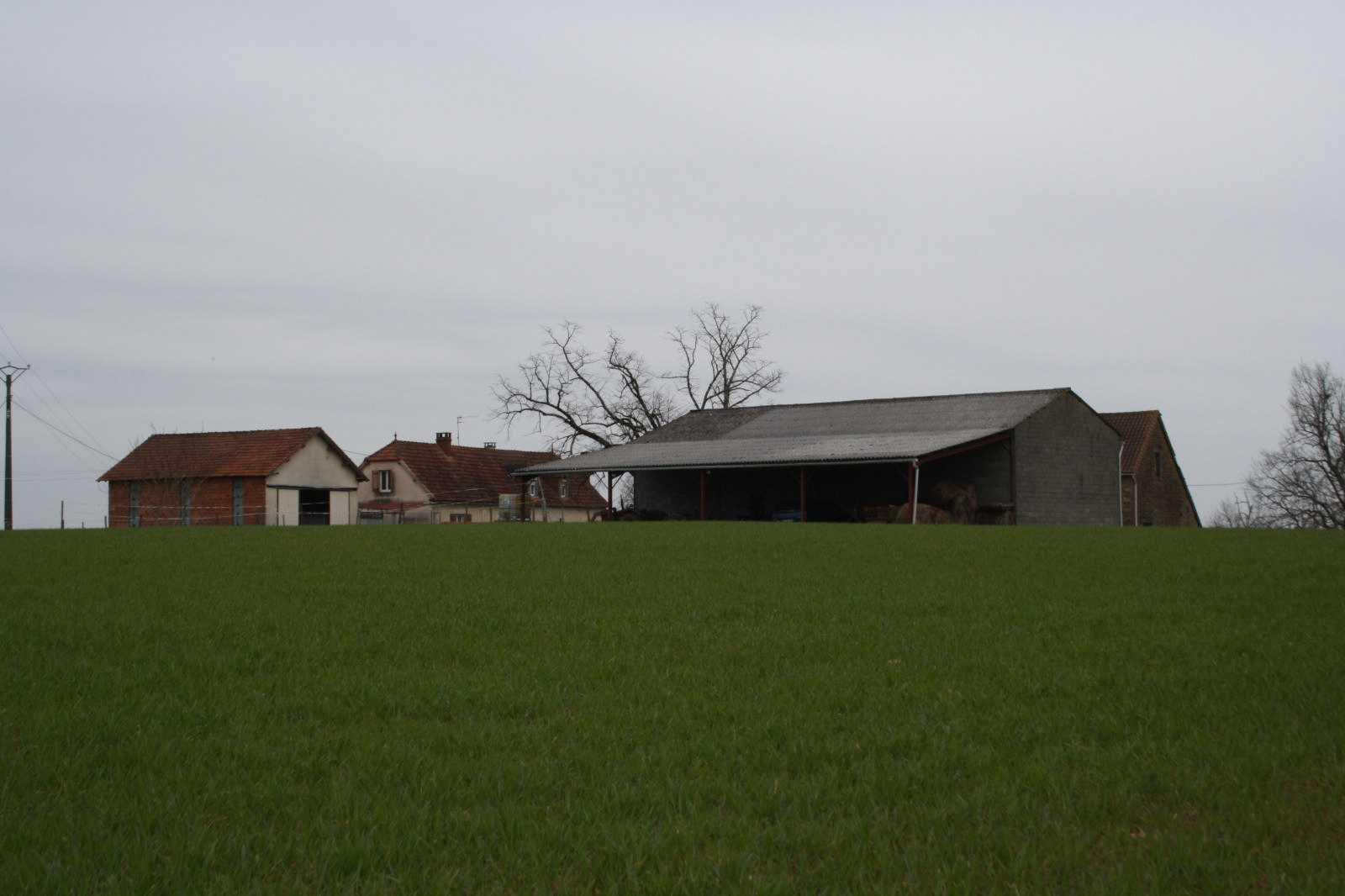 House in Saint-Cyprien, Occitanie 11391865