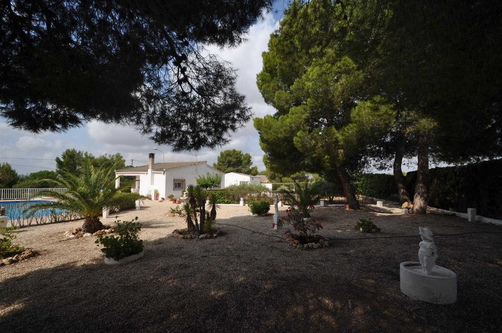 Dom w Sax, Valencian Community 11392876